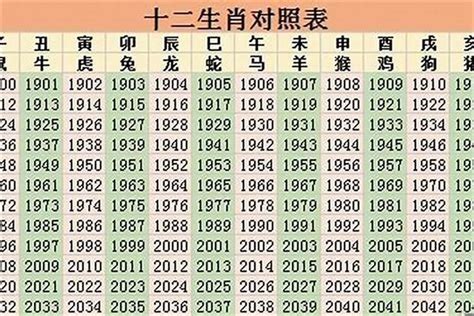 2025是什么生肖|2025年属什么生肖 2025年的生肖是什么